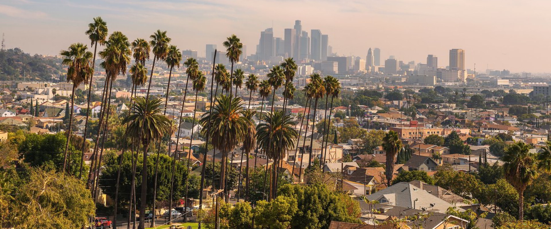 What is the Los Angeles Area Code?