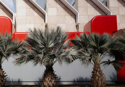 Is LACMA Worth Visiting Now? A Comprehensive Guide
